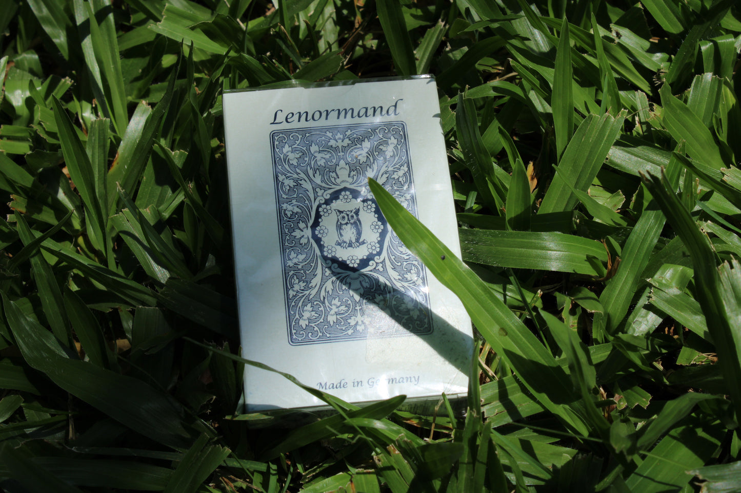 Lenormand Blue Owl