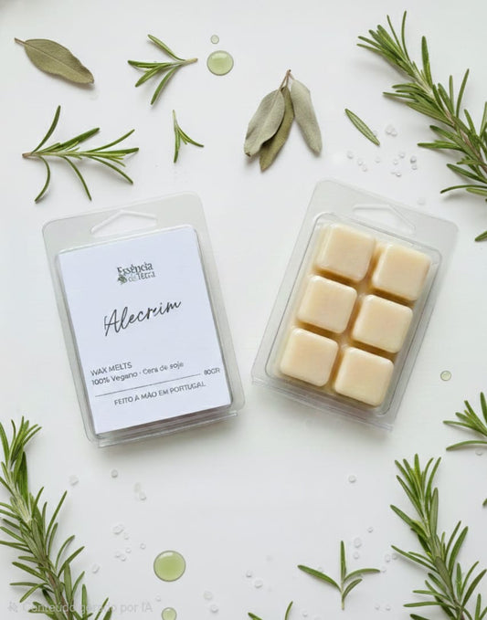 Wax Melts 80g - Alecrim